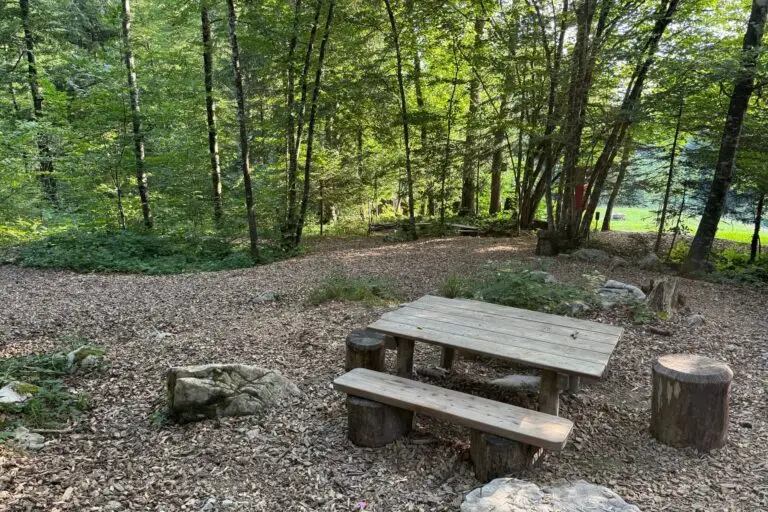 Holztische und Baumstumpf-Hocker unter Bäumen – der Morgenkreis-Platz des Waldkindergartens im Ottenwald.